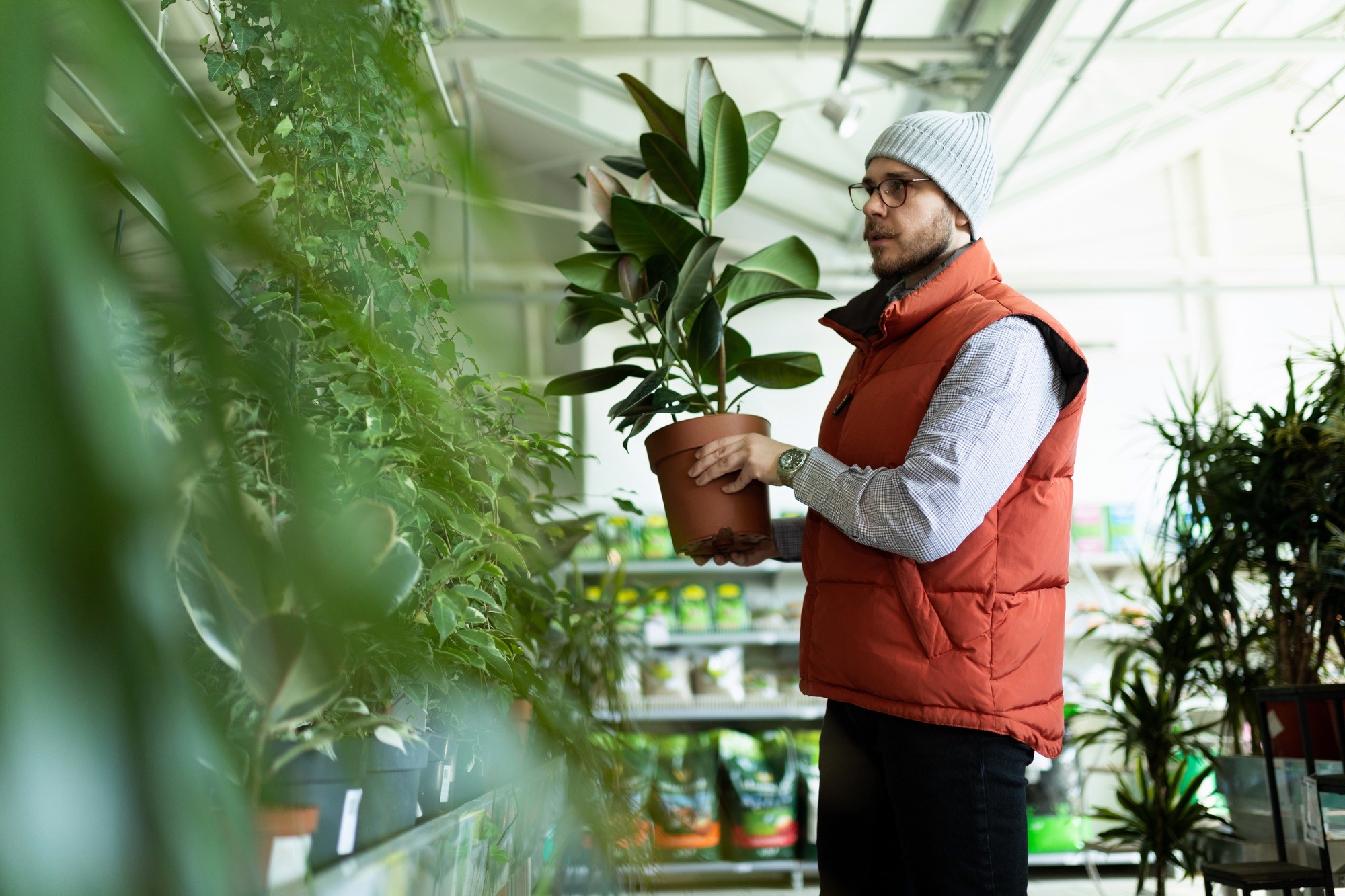 a young man in a store chooses a potted plant for his apartment